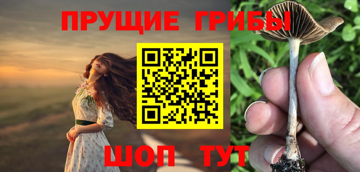Псилоцибиновые грибы MAGIC MUSHROOMS  Вход с VPN  Сертолово 